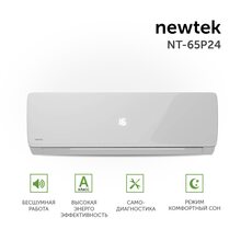Newtek NT-65P09