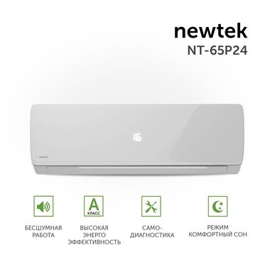 Newtek NT-65P09