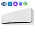 Сплит система Ballu Platinum DC BSEI-09HN8